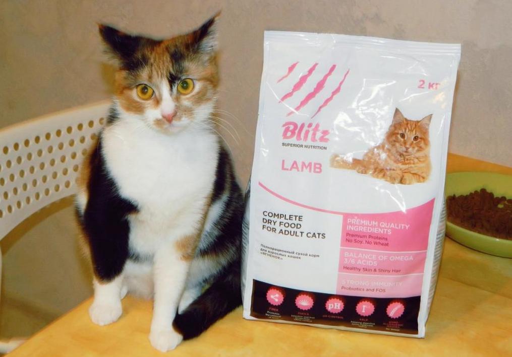 Корм для кошек Blitz: обзор, особенности, виды и отзывы