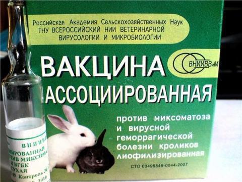 Раббивак-v Инструкция Для Кроликов - фото 6