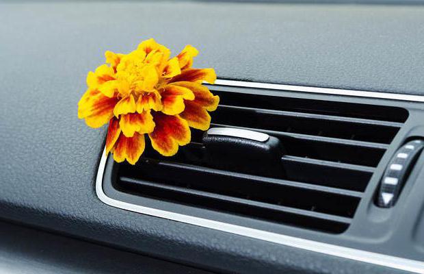 удаление запахов в автомобиле