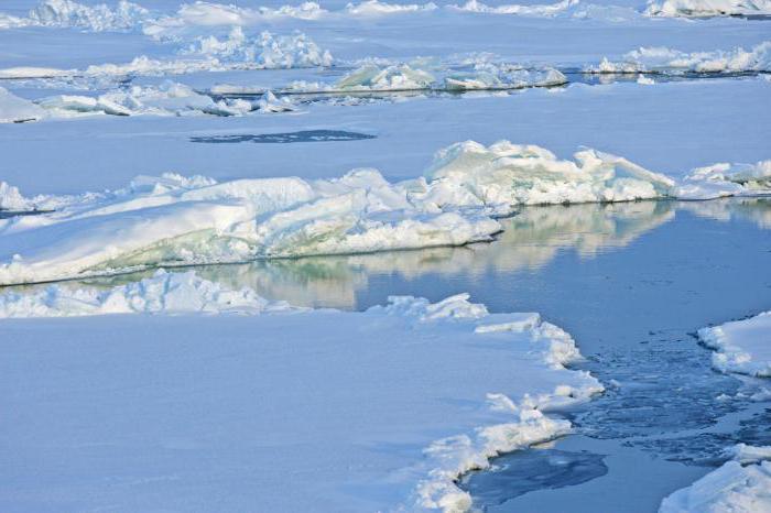 какие материки омывает северный ледовитый океан