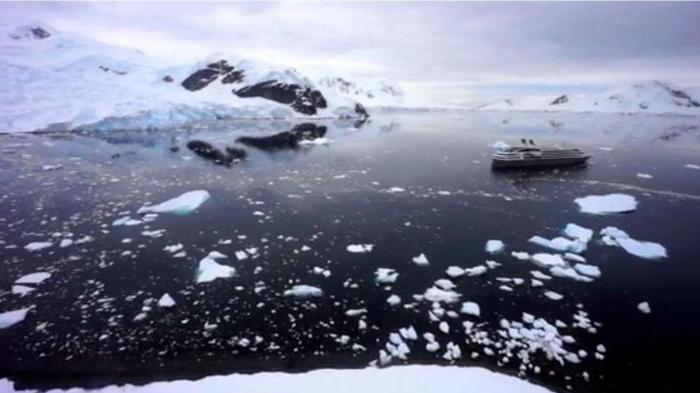 отличия между арктикой и антарктидой