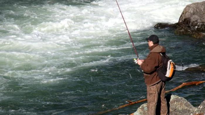 Рыбалка на горных реках Алтая