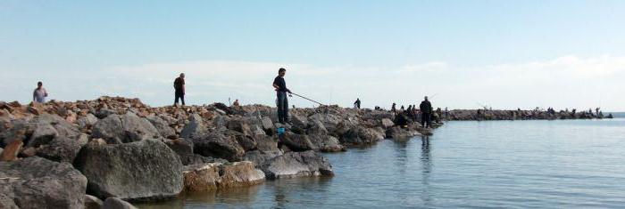 Рыбалка в Копанской Ейский район