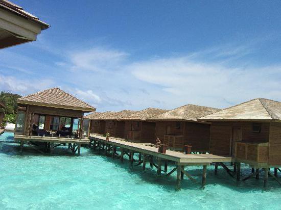 Vilamendhoo Island Resort Spa 4