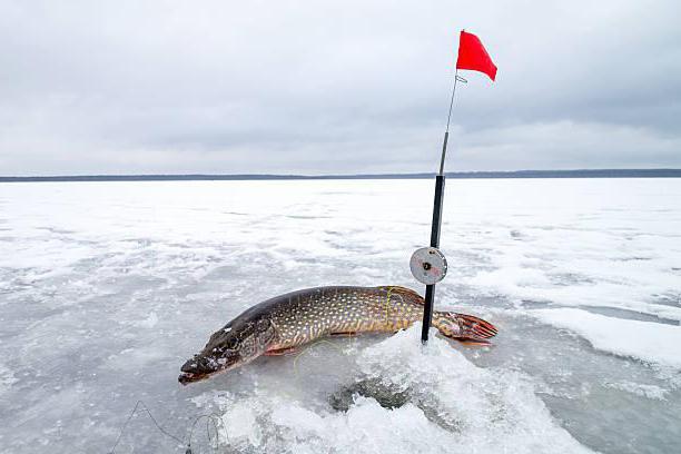 Зимняя рыбалка на Нижней Волге