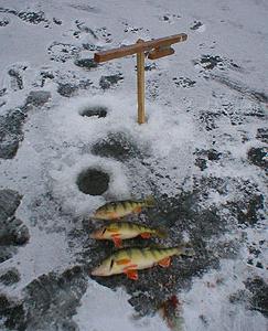 Зимняя рыбалка на окуня 2014