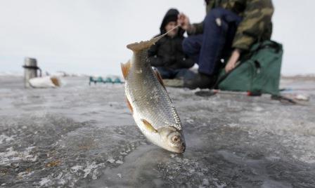 Зимняя рыбалка на Яузском водохранилище