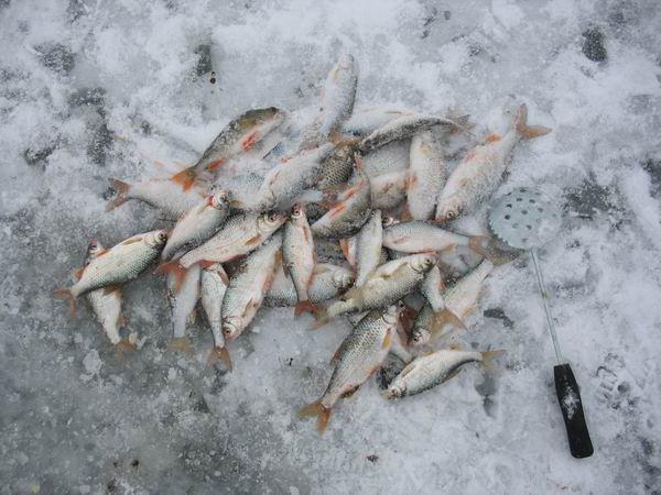 Рыбалка в Оренбургской области на карася