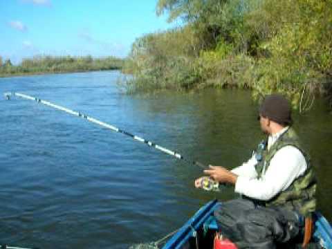 Рыбалка в апреле на белугу