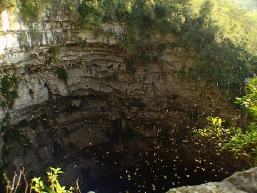 Пещера Ласточек фото
