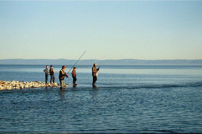 Рыбалка на Байкале летом дикарем