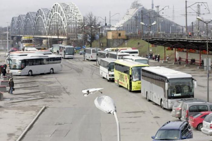 автобус санкт петербург рига