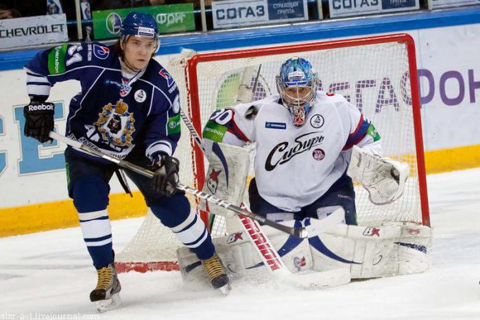 Сергей Плотников хоккеист фото