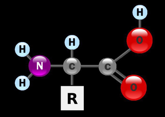 аминокислоты формулы и названия
