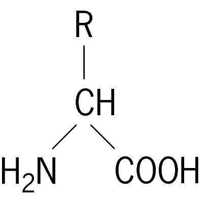 аминокислоты формулы