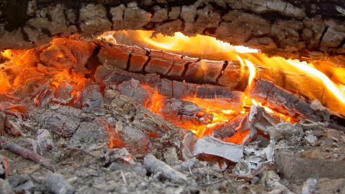 удельная теплота сгорания сосновых дров