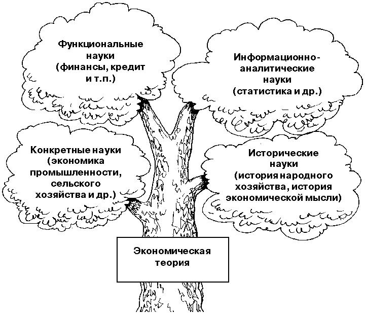 сущность формы и функции исторического знания