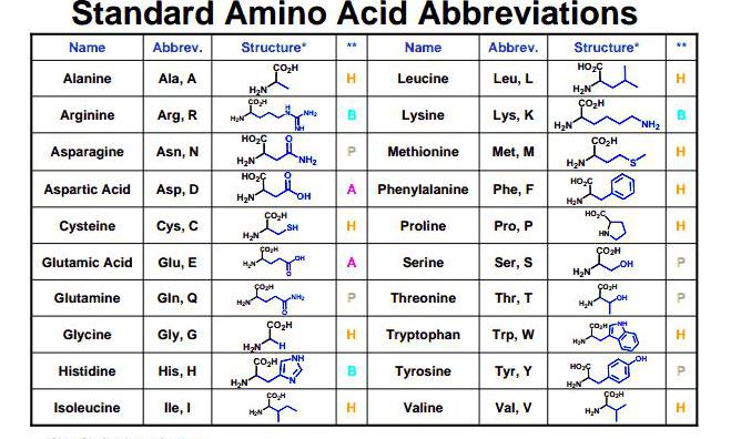 таблица аминокислот