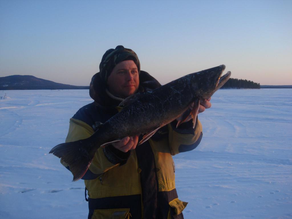 зимняя рыбалка в Ивановской области