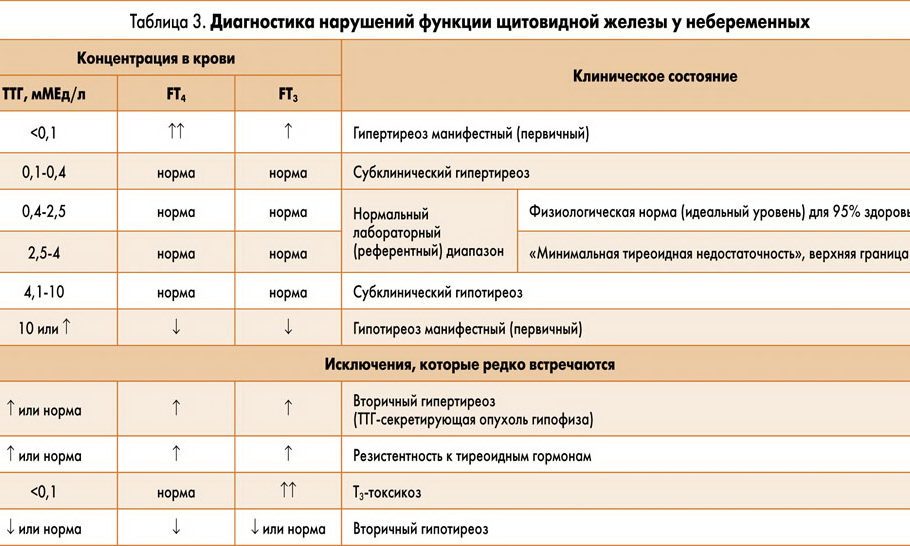 особенности работы щитовидки