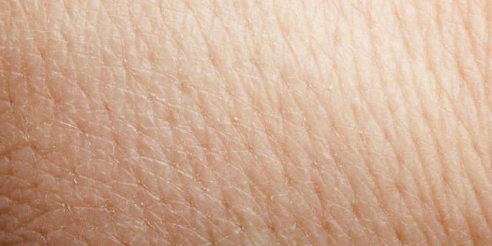 какие клетки покрывают поверхность кожи окружающий мир
