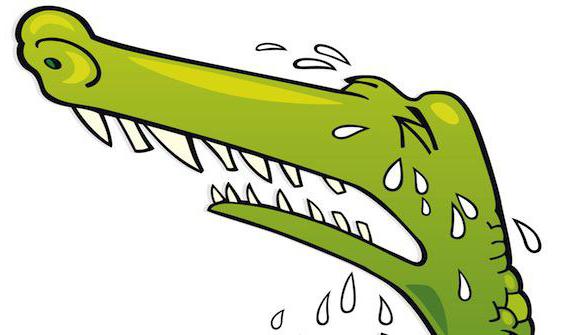 выражение крокодильи слёзы