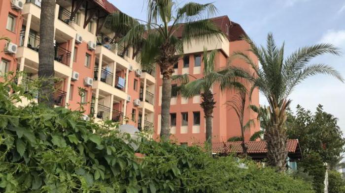 palmeras beach hotel 5 отзывы 