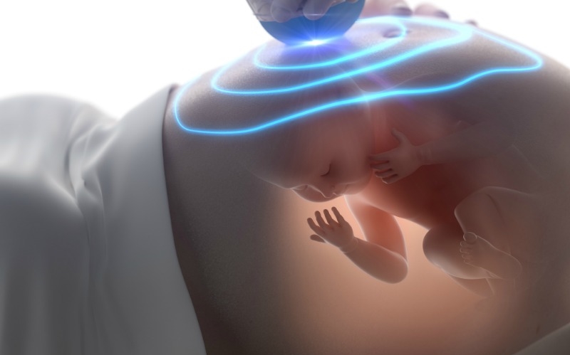 Допплерометрия эмбриона