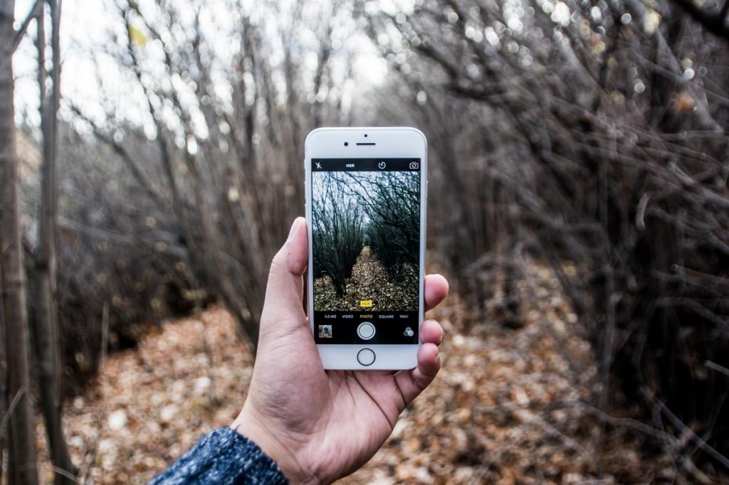 Как правильно фотографировать природу на телефон
