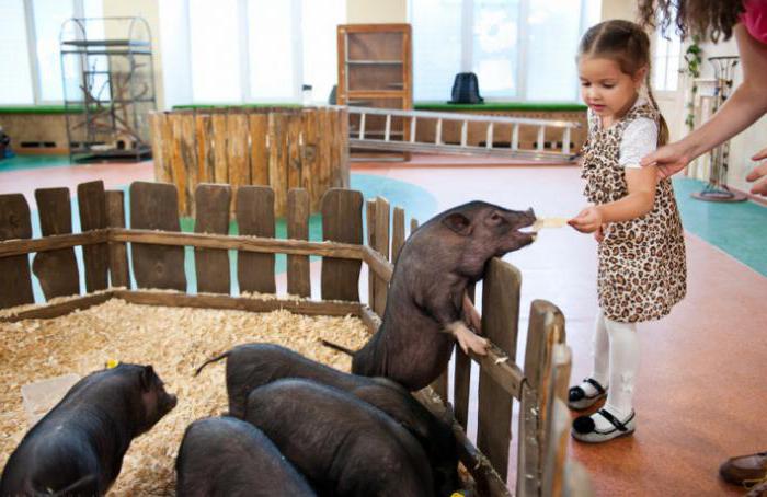  контактный зоопарк в москве самый большой
