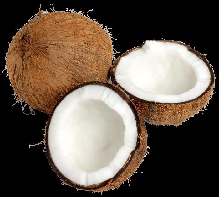 свойства кокосового ореха 