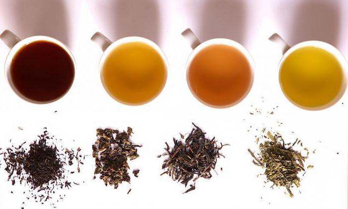  классификация и ассортимент чая