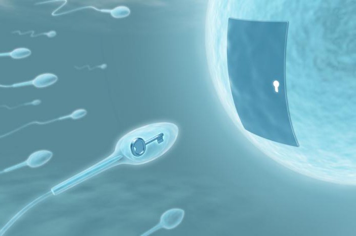 криоконсервация спермы в москве