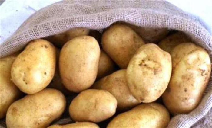 загадка про картофель для детей