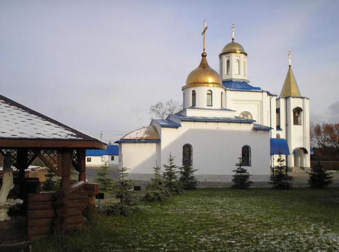константино еленинский женский монастырь ленинградская область