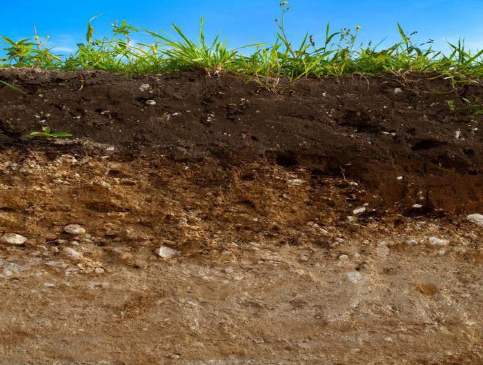 основные физические свойства почвы