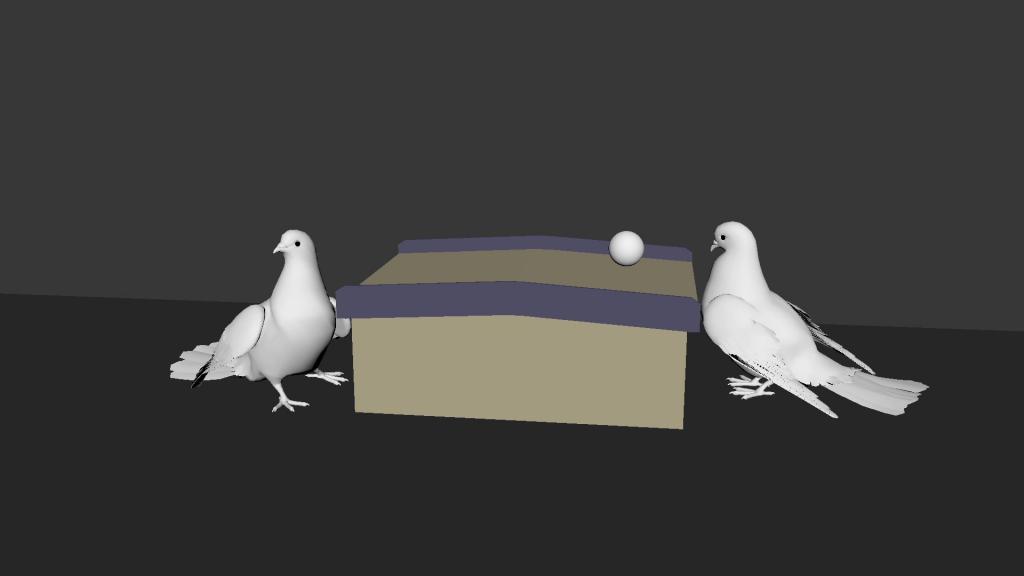 голуби играют в пинг-понг