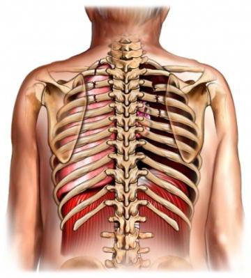 перелом ребра код по мкб 10