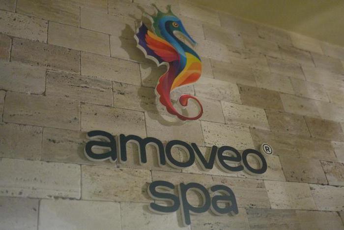 спа салон amoveo spa спб