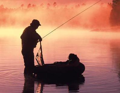 Захватывающая ловля белого амура, Советы о рыбалке - как и где ловить рыбу