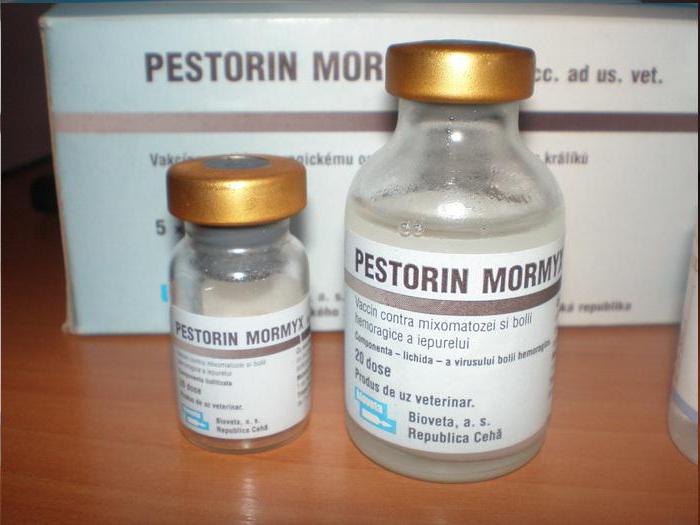 Pestorin Mormyx  -  7