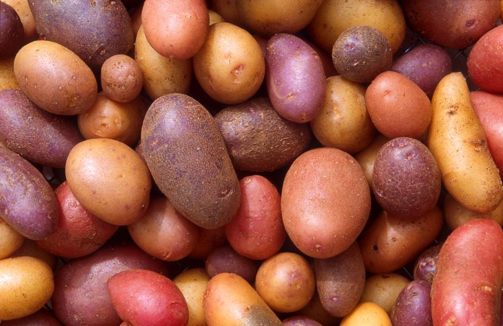 Как лечить геморрой картошкой