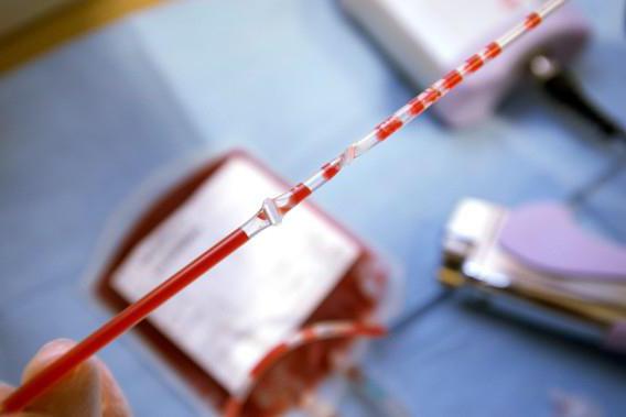переливание крови при низком гемоглобине опасно ли