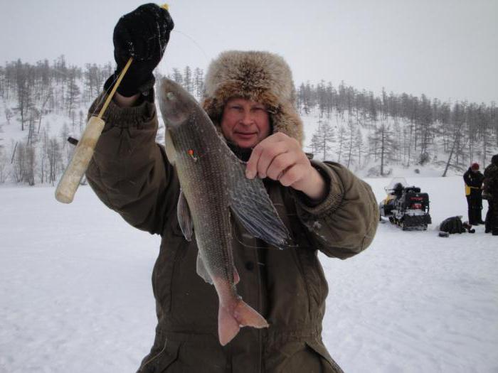 охота и рыбалка в Сибири