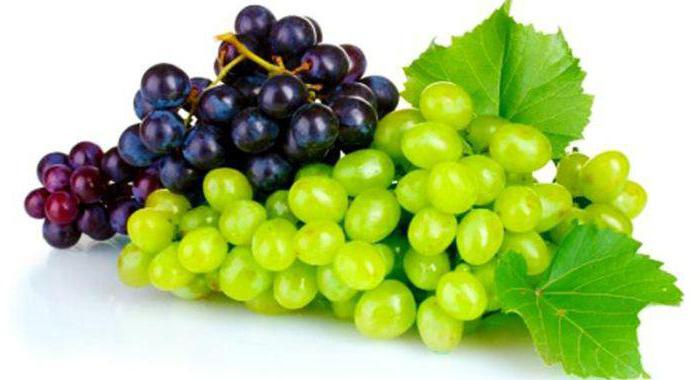 виноград милдью лечение 