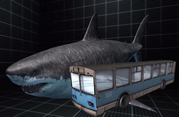 белая акула субмарина доказательства существования