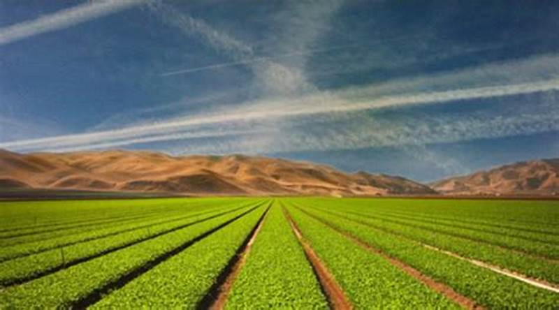 принципы оборота земель сельскохозяйственного назначения