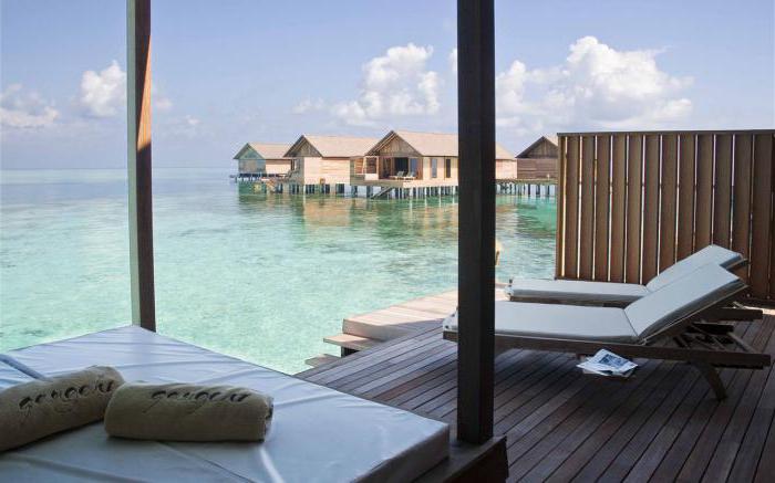 gangehi island resort maldives