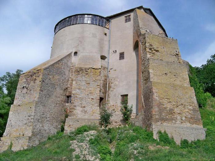 замок князя острозького