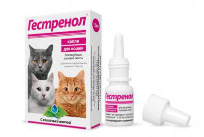 препарат генстренол капли для кошек
